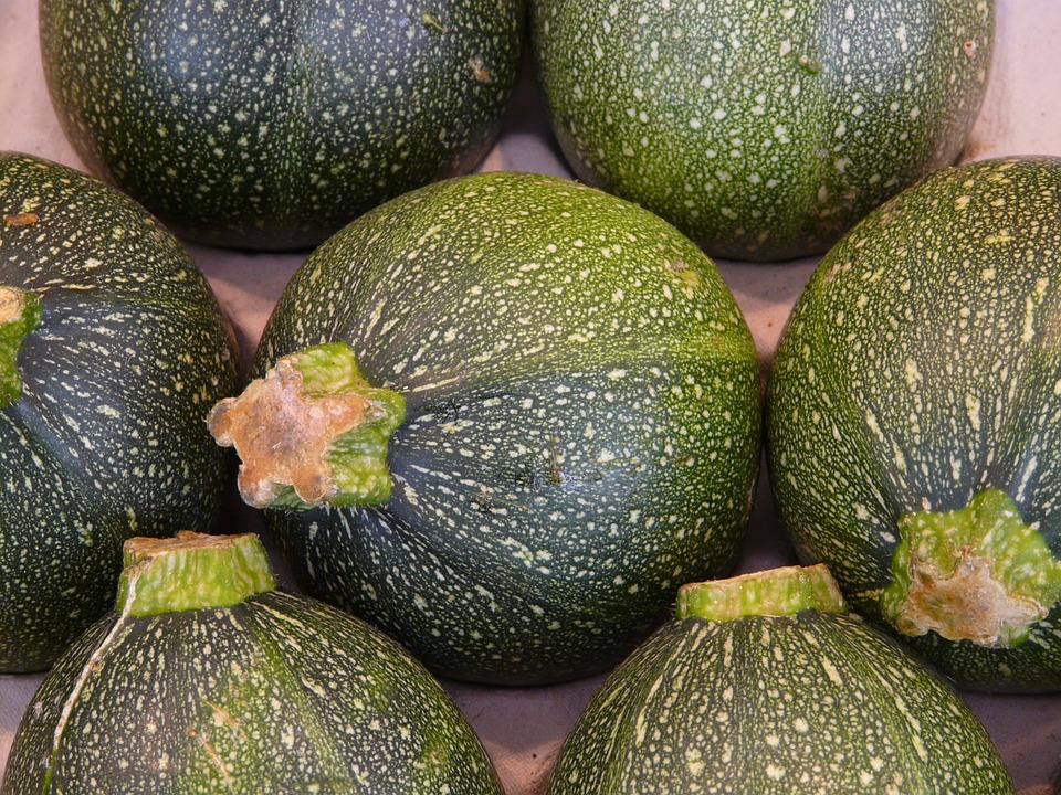 Flan de courgette