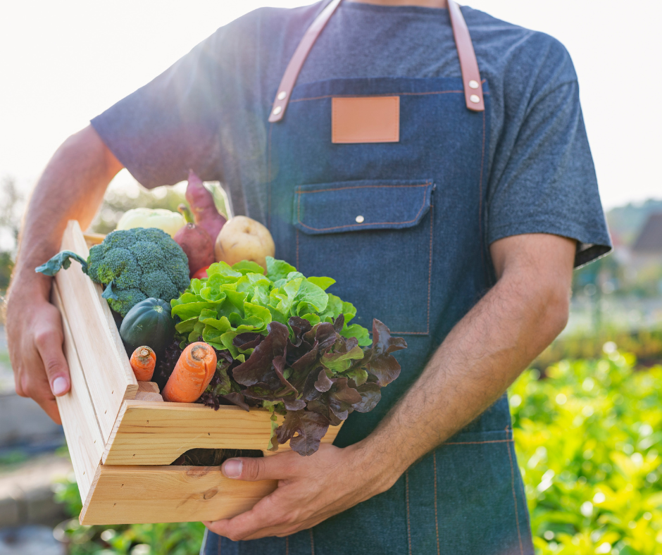 es produits bruts, bio et/ou locaux pour limiter les perturbateurs endocriniens